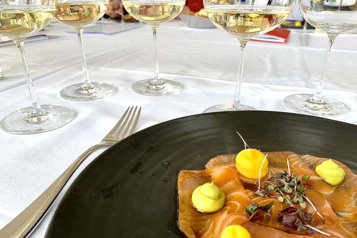 Carpaccio di salmone con Pinot Nero Metodo Classico Castello di Cigognola Metodo Classico cambio di passo in cantina