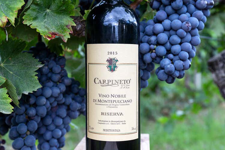 Il Nobile di Montepulciano di Carpineto - Carpineto, l'e-commerce non basta Servono pi&ugrave; export e ristoranti