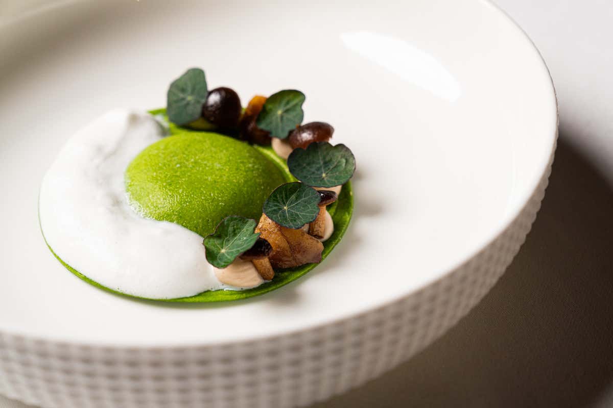 I Carracci, una cucina giovane ed elegante immersa nell'arte a Bologna