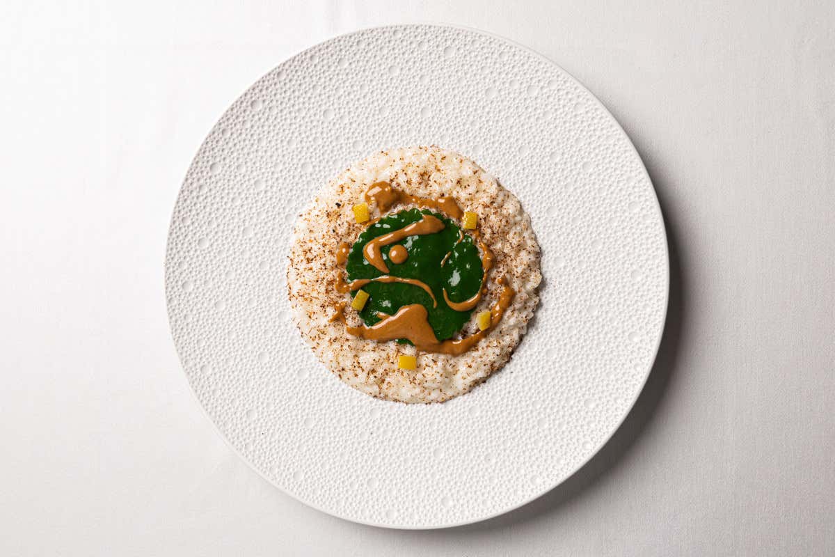 I Carracci, una cucina giovane ed elegante immersa nell'arte a Bologna