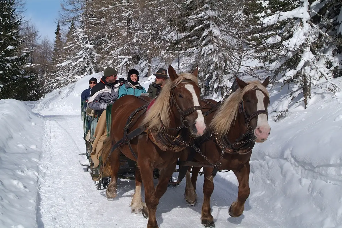 Romantica gita in carrozza. Associazione Austria per l&rsquo;Italia Foto Trattlerhof&nbsp; Cosa fare a San Valentino? Ecco 7 proposte originali