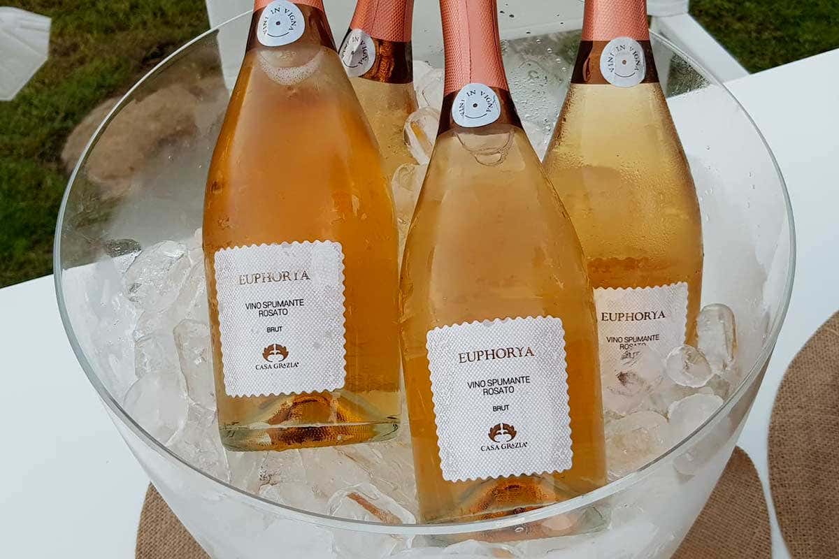 Euphorya, 100% Frappato metodo Charmat