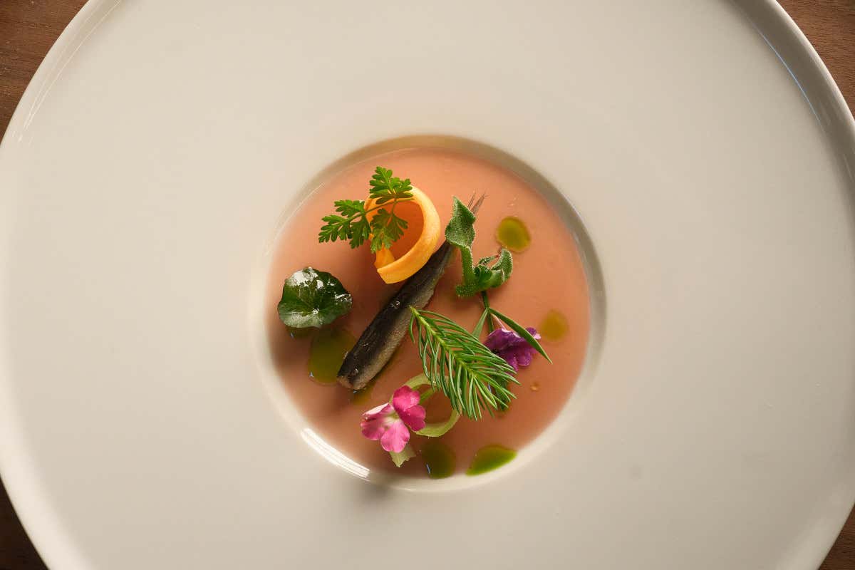 Sarda farcita con confettura di cipolla agrodolce e accompagnata da sedano, carote ed erbe marittime