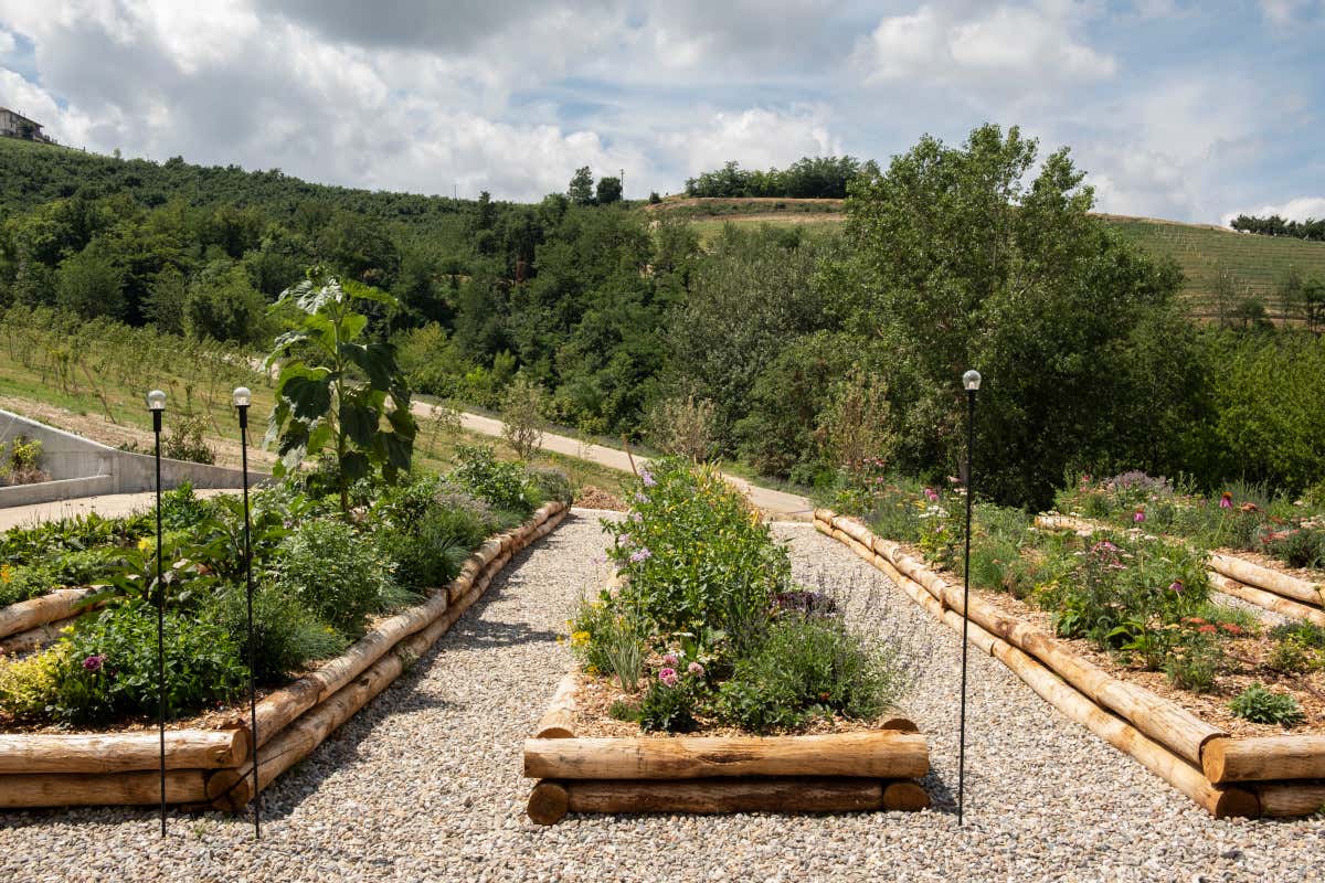 Viaggio in Alta Langa, un territorio ancora tutto da scoprire 