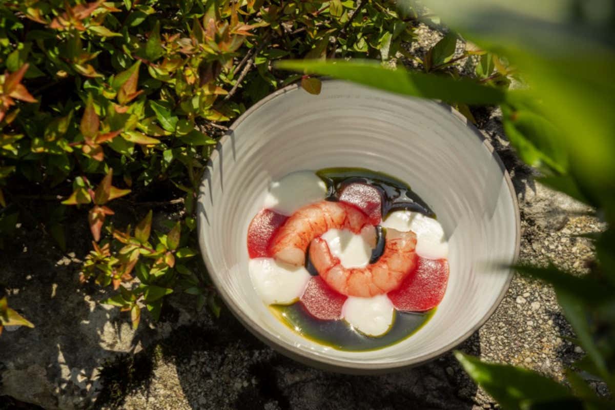 Casa degli Spiriti, tra osteria e fine dining: i fratelli Chignola guidano sala e cucina Casa degli Spiriti, tra osteria e fine dining: i fratelli Chignola guidano sala e cucina