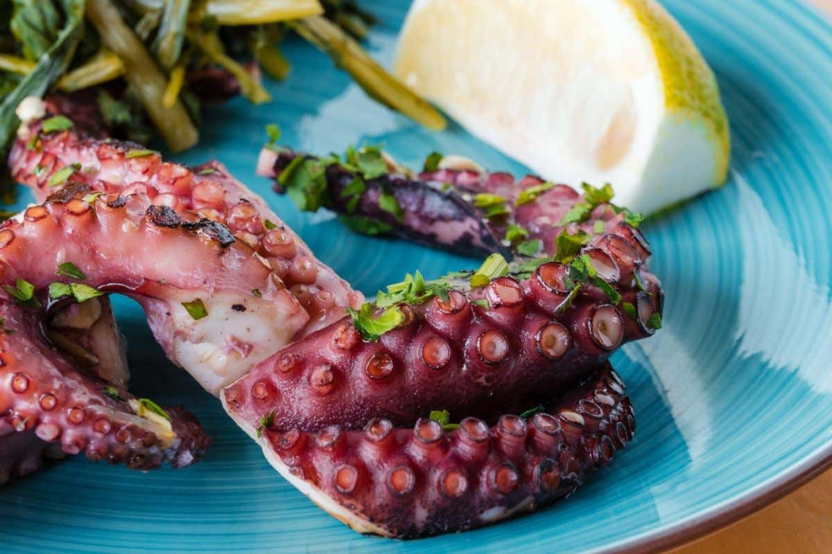 In provincia di Catania il piacere di un pranzo senza stress da Casafood