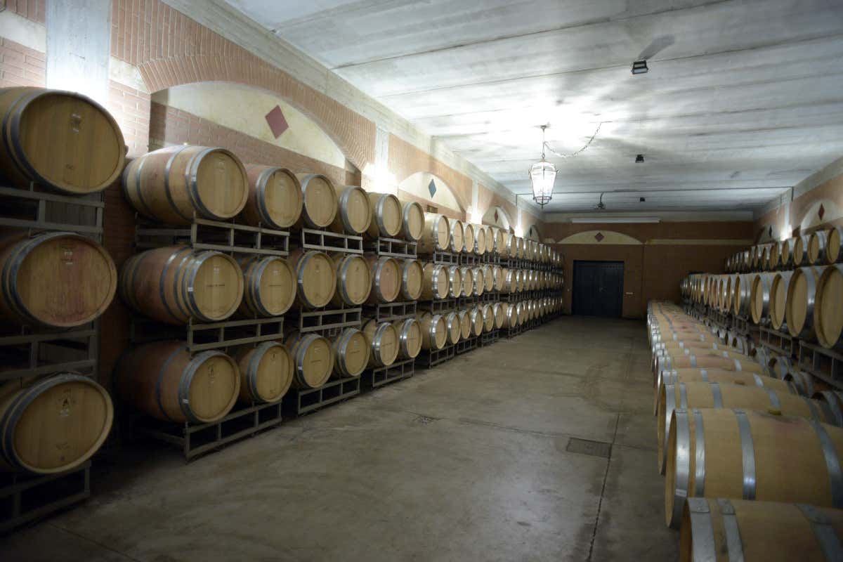 Le botti nell'azienda vinicola Casale del Giglio Cantina Casale del Giglio: viaggio enogastronomico e culturale nell'Agro Pontino