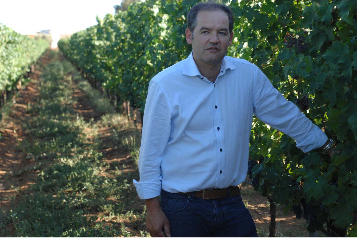 Paolo Tiefenthaler Cantina Casale del Giglio: viaggio enogastronomico e culturale nell'Agro Pontino