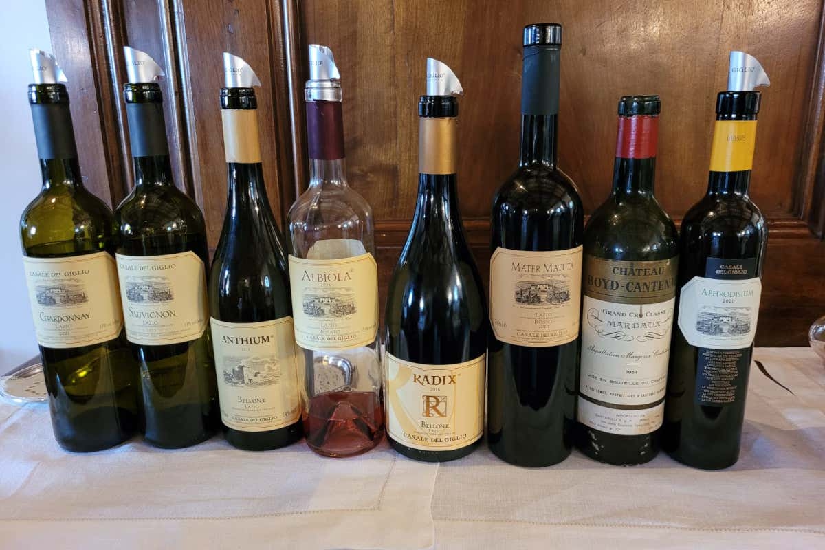 Vini dell'azienda Casale del Giglio Cantina Casale del Giglio: viaggio enogastronomico e culturale nell'Agro Pontino