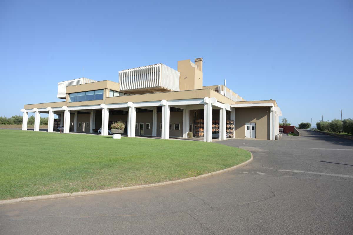 L'azienda vinicola Casale del Giglio Cantina Casale del Giglio: viaggio enogastronomico e culturale nell'Agro Pontino