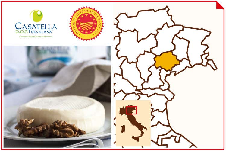 (Casatella Trevigiana Dop)