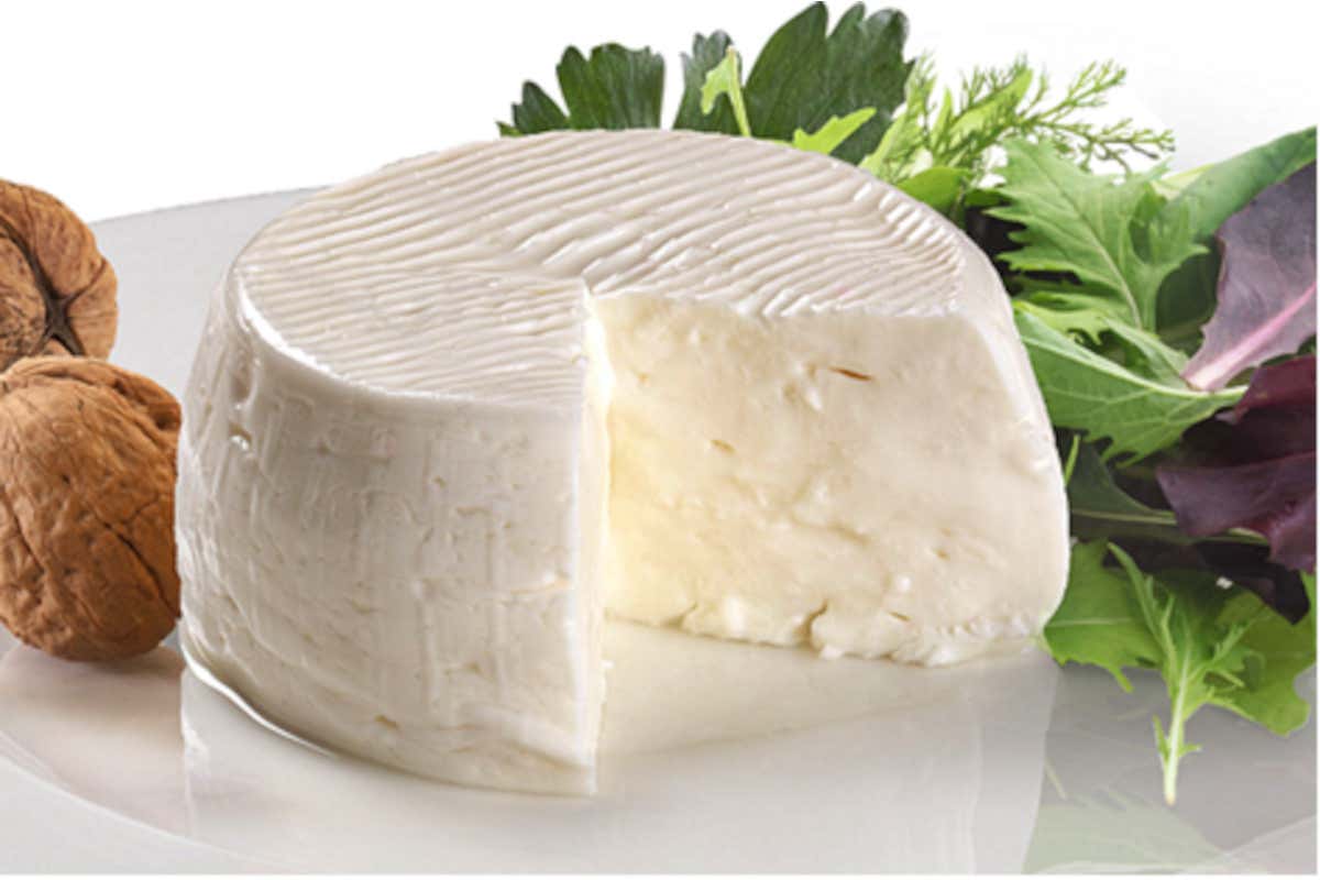 Treviso in festa per il 17° compleanno della Casatella Dop Treviso in festa per il 17° compleanno della Casatella Dop