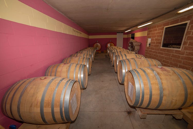Dalle botti di Cascina Lorenzo escono 5 vini (Cascina Lorenzo, 2 ettari di vigne e un vino da medaglia d’oro)