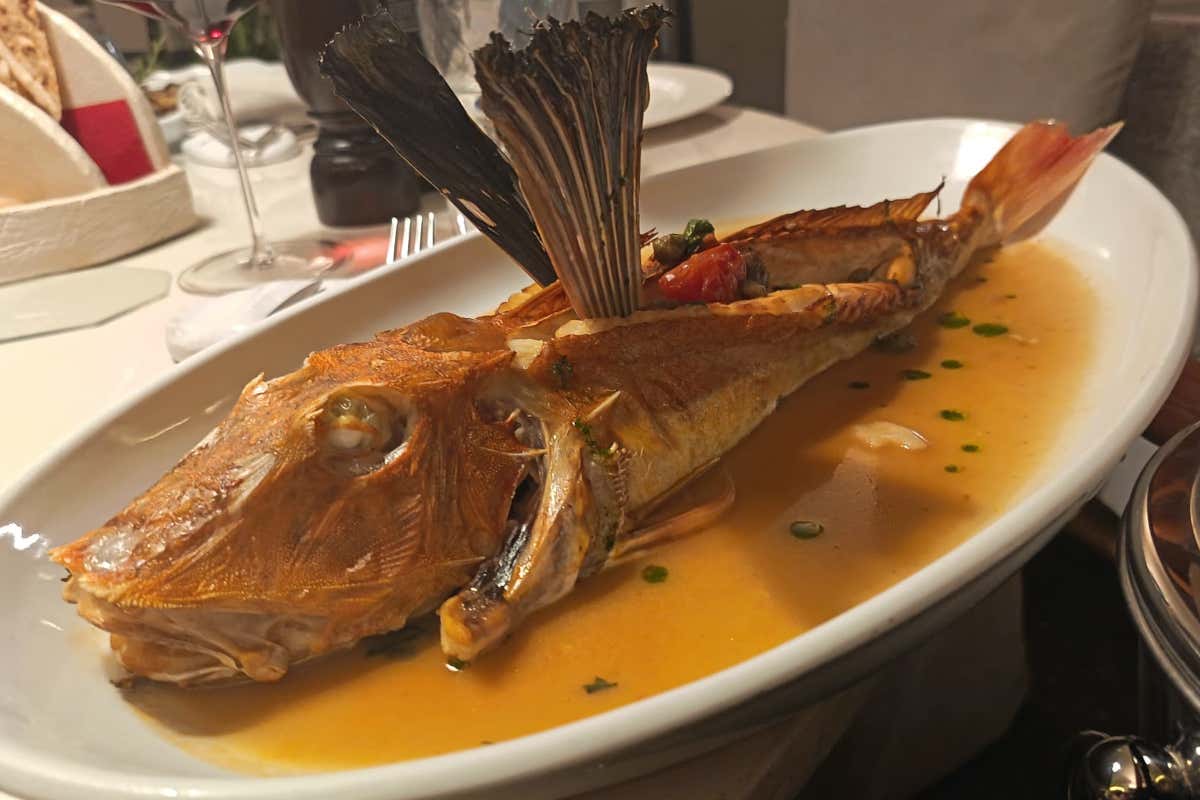 Dal pane Carasau al Tiramisau: una sera a Cascina Ovi, il cuore sardo di Segrate