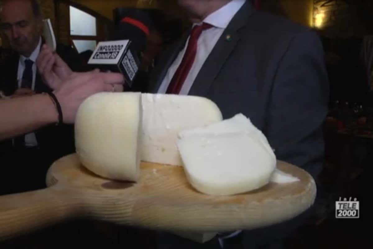 Facciamo chiarezza sulla Casciotta d'Urbino: Michelangelo si rivolterebbe nella tomba