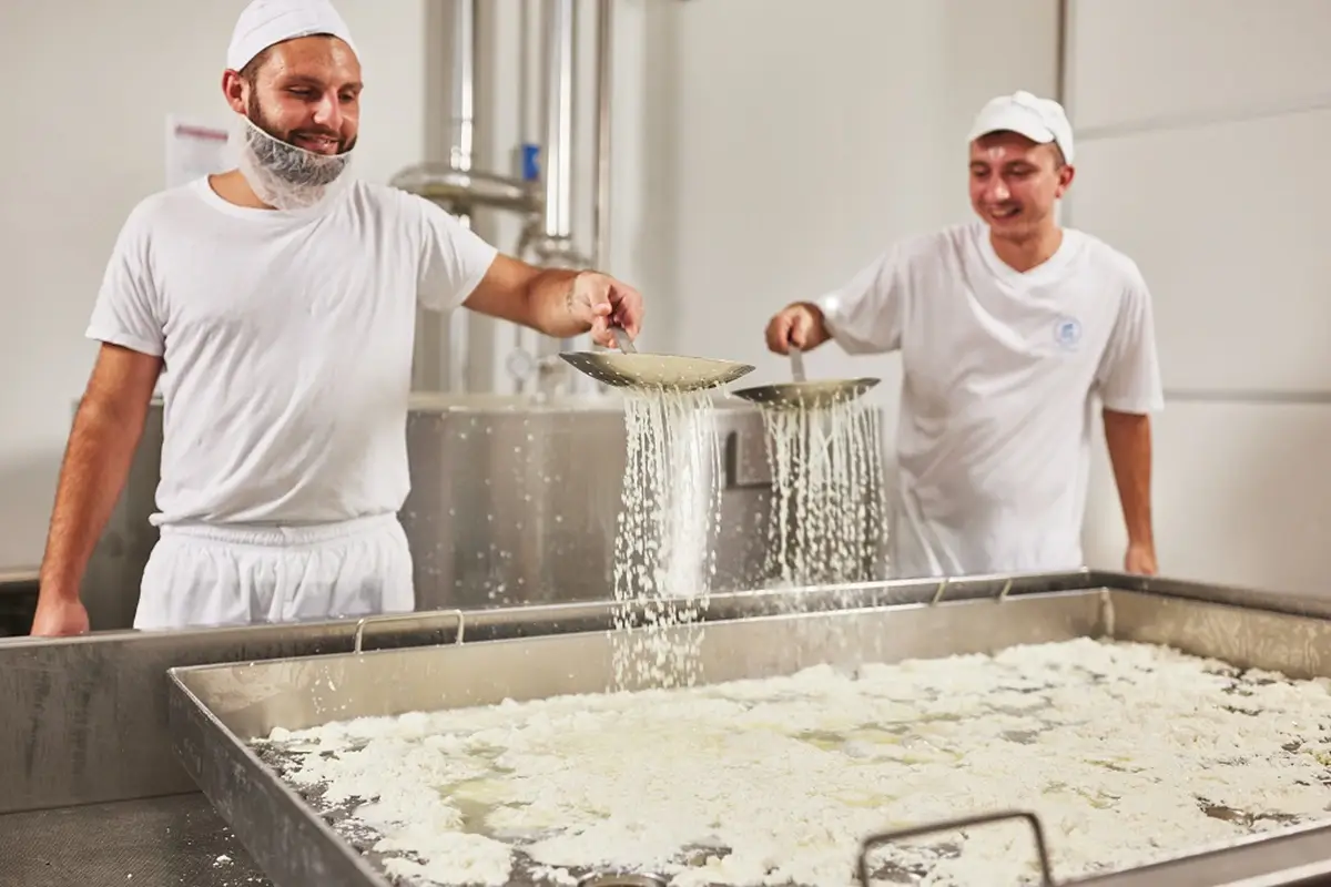 Caseificio Nasce lo Squisito Food Lab: cos&igrave; San Patrignano forma i ragazzi e si autosostiene