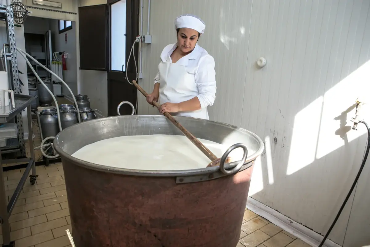 Caseifico Demarcus, una storia di famiglia e di formaggi di qualit&agrave;