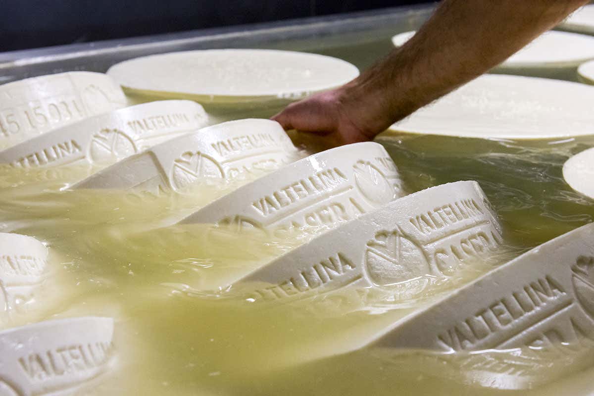 Bitto e Casera, 25 anni di Dop Al via le iniziative per il rilancio