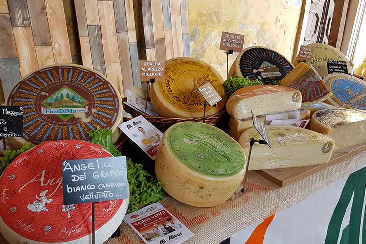 Dop protagoniste a Caseus Veneti (Caseus Veneti si amplia A formaggi di montagna e fattoria) Dop protagoniste a Caseus Veneti (Caseus Veneti si amplia A formaggi di montagna e fattoria)