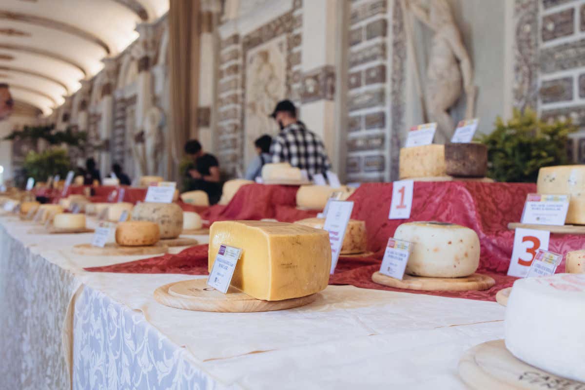 Torna Caseus: il 30 settembre e il 1° ottobre a Padova