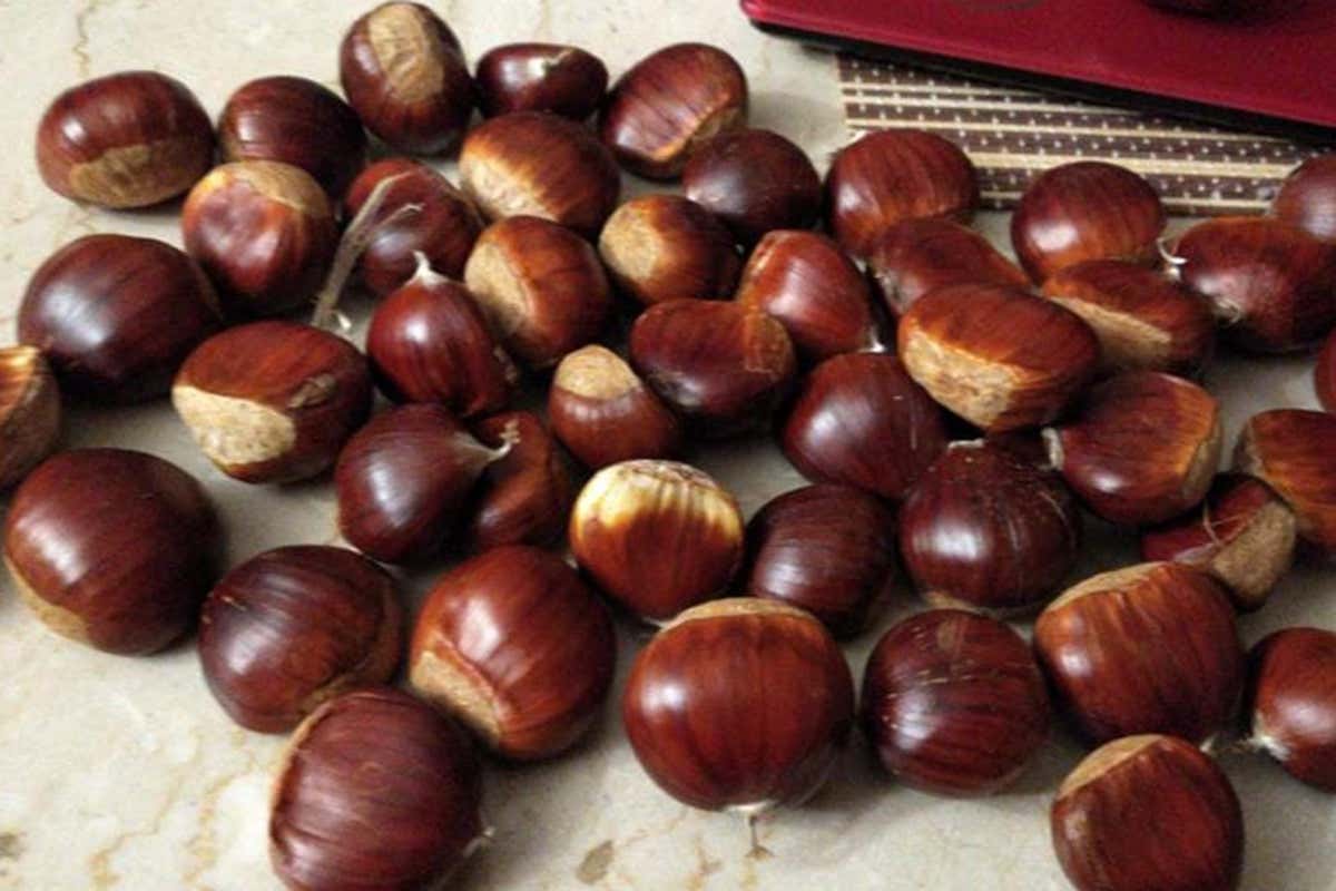 Castagne del Partenio - Foto myfruit.iy Dalla castagna rinasce il borgo irpino di Castello Castagne del Partenio - Foto myfruit.iy Dalla castagna rinasce il borgo irpino di Castello