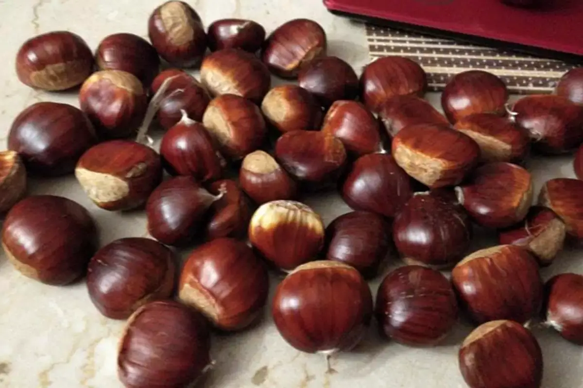 Castagne del Partenio - Foto myfruit.iy Dalla castagna rinasce il borgo irpino di Castello