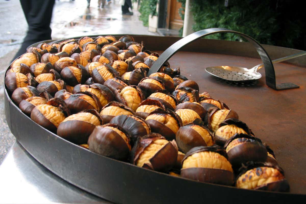 Castagne: nel 2025 prezzi in discesa grazie a un raccolto generoso