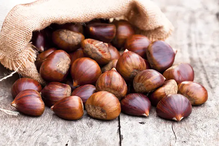 Castagne I danni del maltempo: addio castagne e lumache sott'acqua