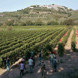 Foto: Massimo Vitali