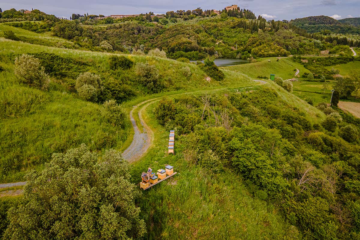 Le arnie Castelfalfi, vivere l’antico borgo nel cuore della Toscana Le arnie Castelfalfi, vivere l’antico borgo nel cuore della Toscana