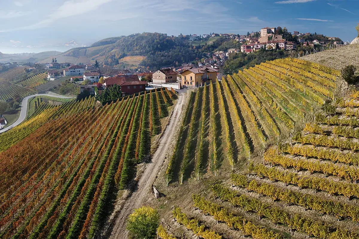 Le colline di Castellinaldo Barbera d'Albe Doc, Castellinaldo riconosciuta come sottozona
