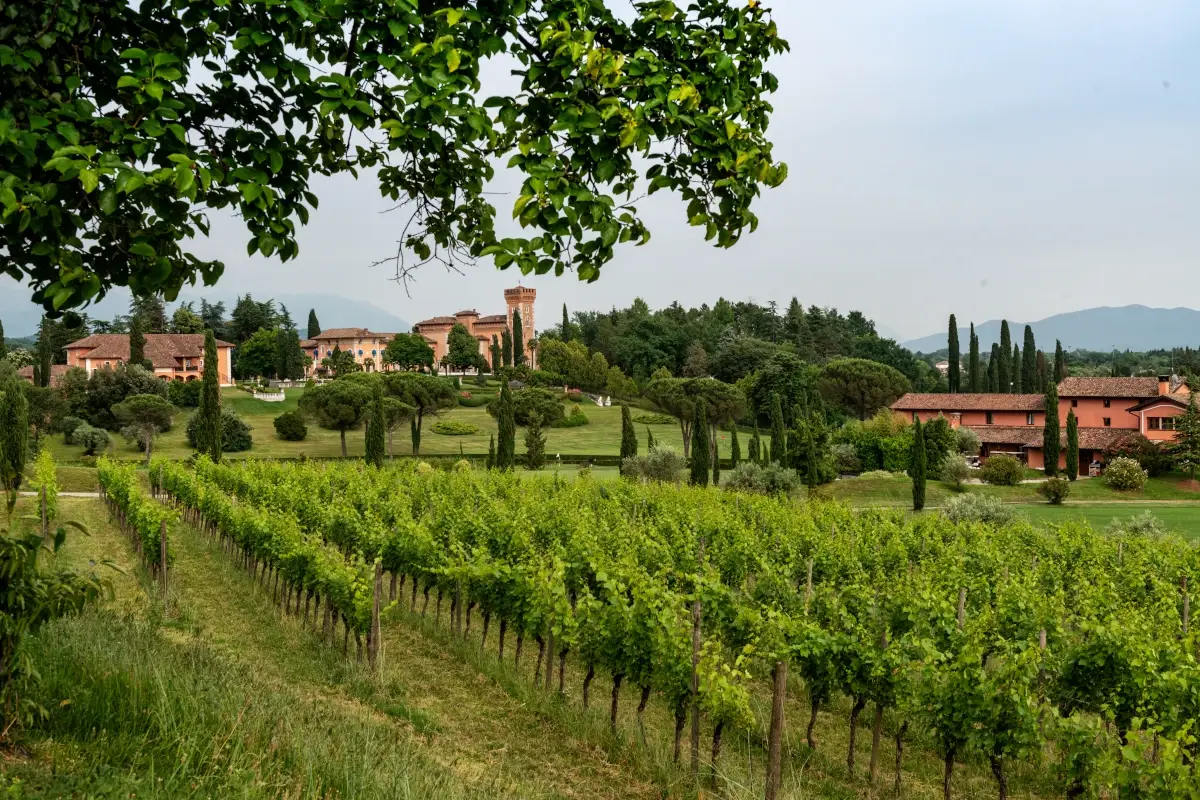 Storia, innovazione ed enoturismo: cos&igrave; Castello di Spessa guarda al futuro