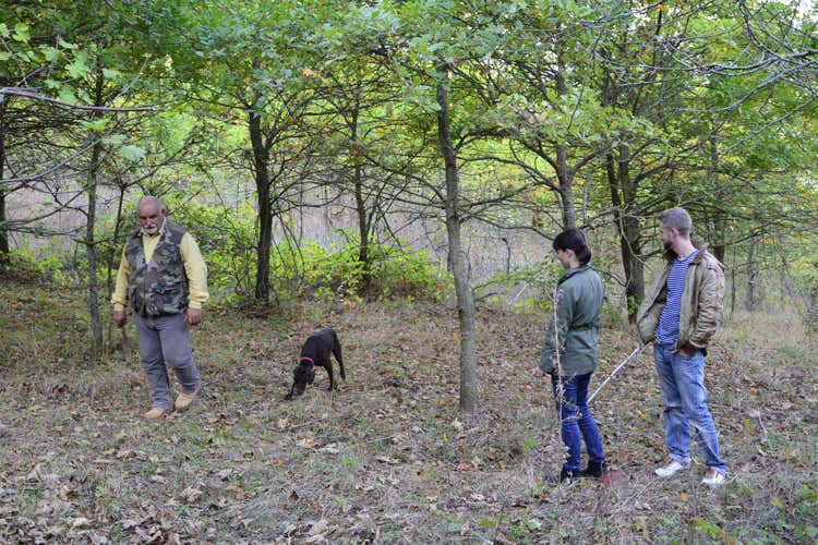 La caccia al tartufo (&Egrave; partita la caccia al tartufo nelle valli del Castello di Petroia)