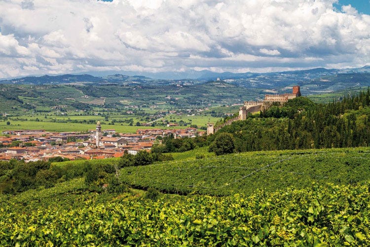 Le vigne e il castello di Soave - L’Europa riconosce i cru del Soave Le vigne compaiono in etichetta