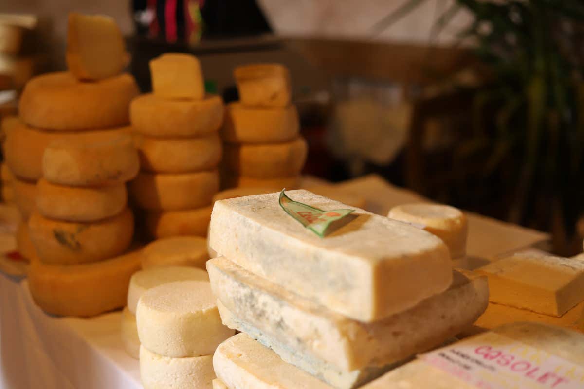 Dal borgo al castello: itinerario culturale e gastronomico alla scoperta di Padernello