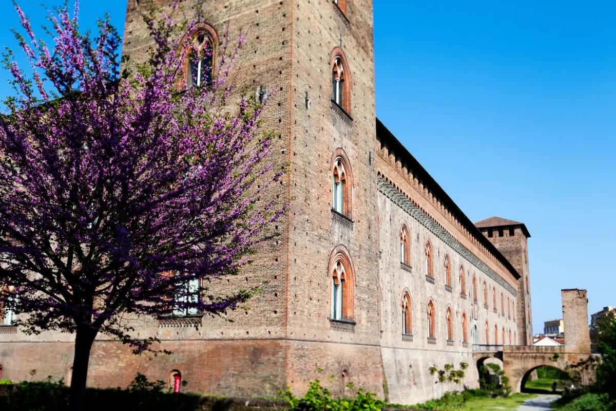 Il Castello Visconteo di Pavia&nbsp; I bambini di Pavia scoprono la natura e i suoi mestieri con la Coldiretti