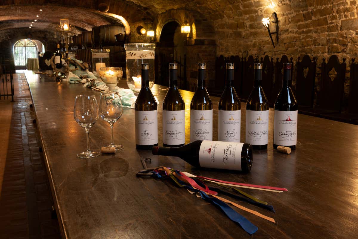 Nel cuore del Collio, un rosso che parla friulano: ecco il Pinot Nero Casanova