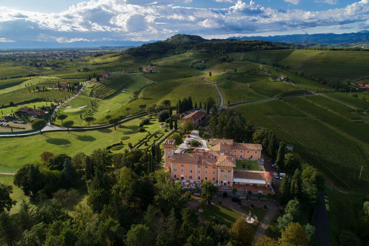 Nel cuore del Collio, un rosso che parla friulano: ecco il Pinot Nero Casanova