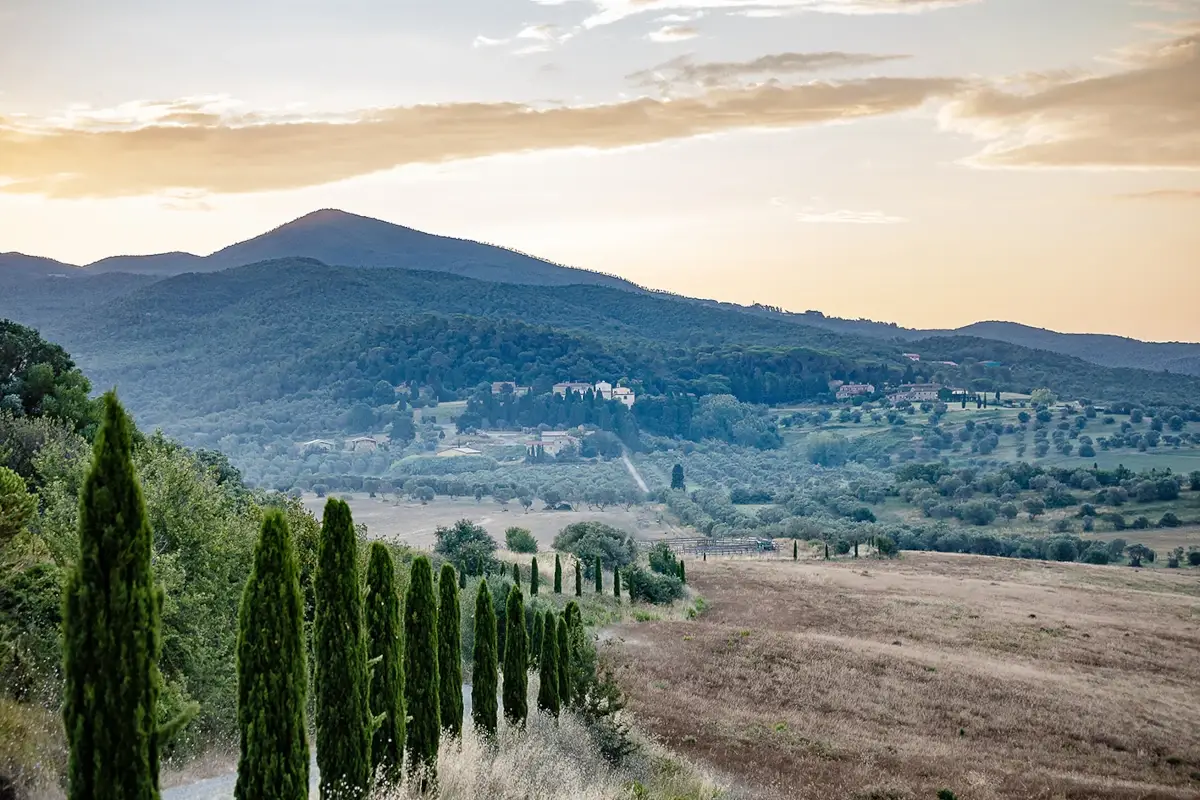 Le Colline pisane, culla dell'azienda Castello del Terriccio, assaggi seducenti dalle colline toscane