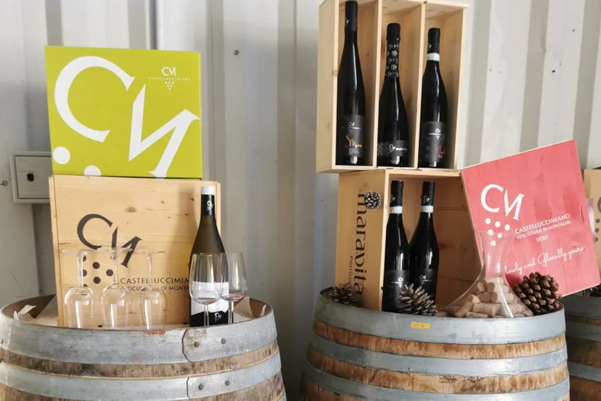 Alcune delle bottiglie top della cantina Castellucci Miano, bollicine di montagna di grande beva