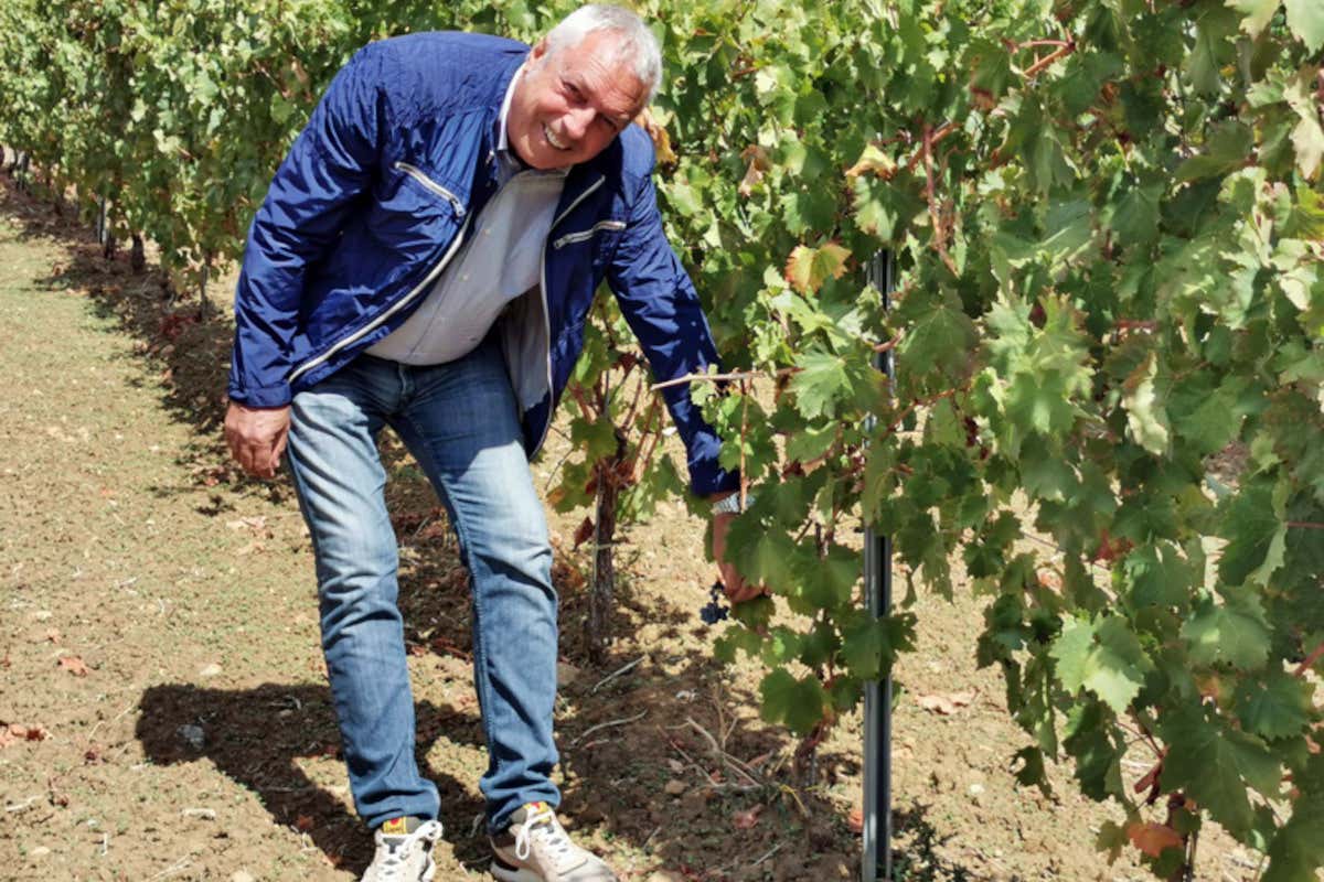 Piero Buffa Castellucci Miano, bollicine di montagna di grande beva