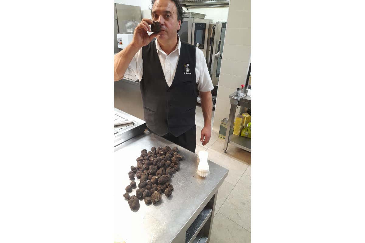 Stefano con i suoi tartufi neri umbri Il Castoro di Preci, il tartufo di qualità per tutte le tasche Stefano con i suoi tartufi neri umbri Il Castoro di Preci, il tartufo di qualità per tutte le tasche