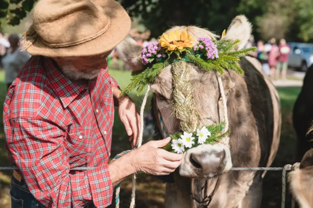 Gran Festa del Desmontegar Autunno in montagna per gustarsi i frutti della stagione