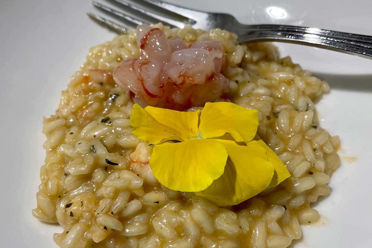 Il risotto Regina Vittoria, signature dish di Enrico Derflingher La squadra Euro-Toques capitanata da Derflingher protagonista nel Varesino