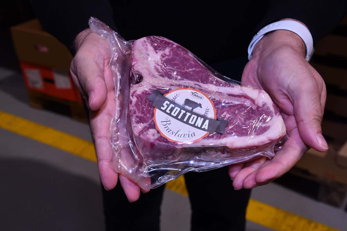 Cattel cambia il ruolo del distributore: oggi forma e supporta i ristoratori