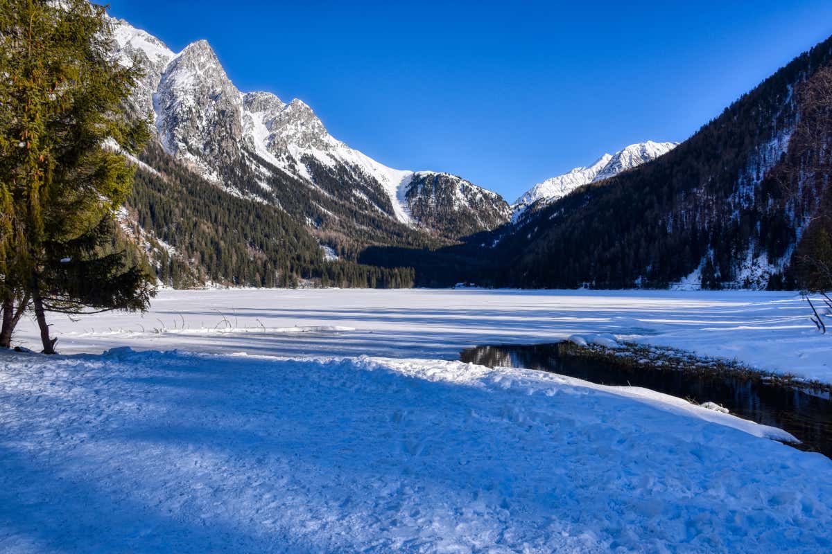 Dai prodotti Dop e Igp ai Giochi: l’Alto Adige a Milano Cortina 2026