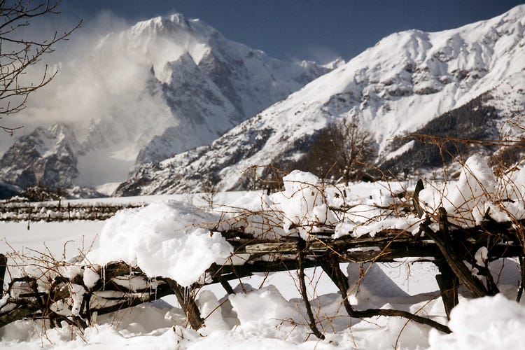I vitigni coperti di neve all'ombra del Monte Bianco (Cave Mont Blanc Le bollicine del Monte Bianco)