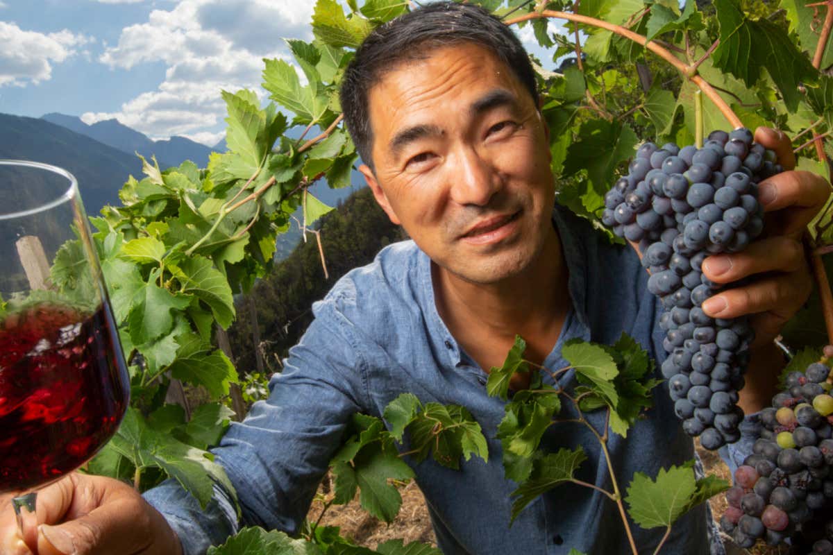 Cave Monaja e Chul Kyu, il vignaiolo italo-coreano che strega gli stellati