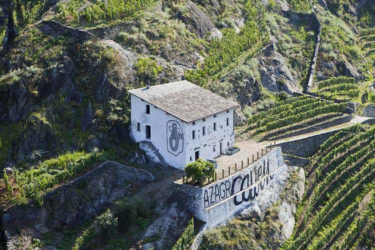 La Valtellina enologica va avanti Pietro Nera e Caven in prima fila