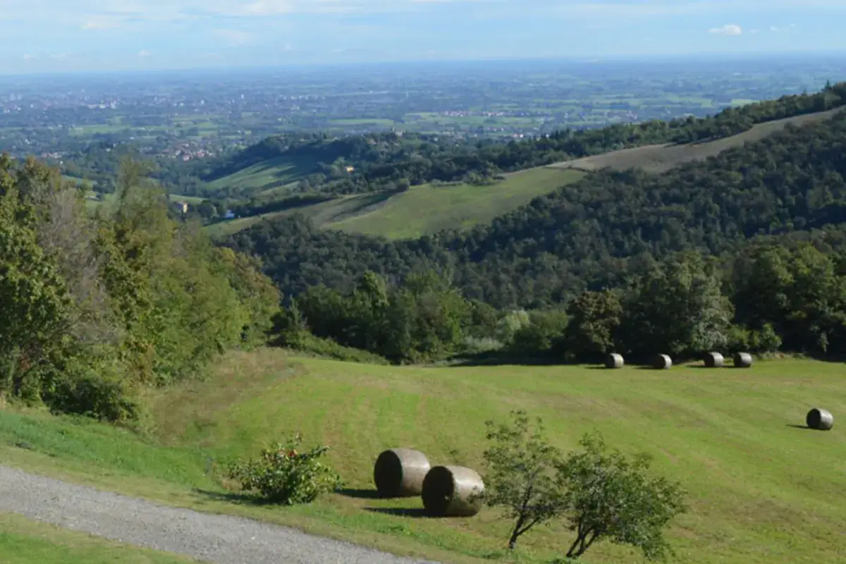 Il panorama che si può godere dall'agriturismo Gita in campagna o cena romantica? All'agriturismo Cavazzone si possono fare tutte e due
